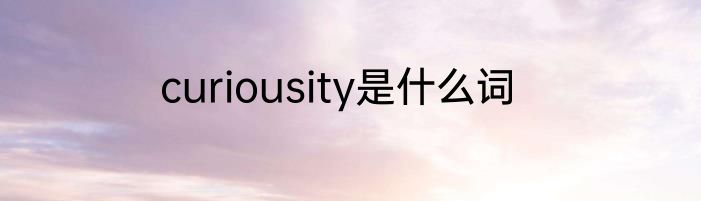 curiousity是什么词