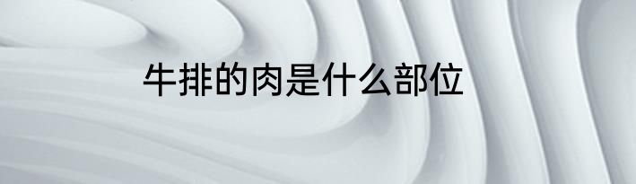 牛排的肉是什么部位