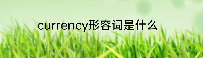 currency形容词是什么