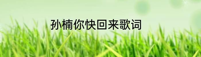 孙楠你快回来歌词