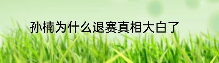 孙楠为什么退赛真相大白了