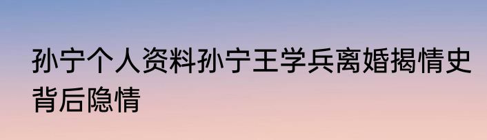 孙宁个人资料孙宁王学兵离婚揭情史背后隐情