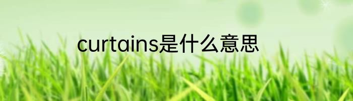 curtains是什么意思
