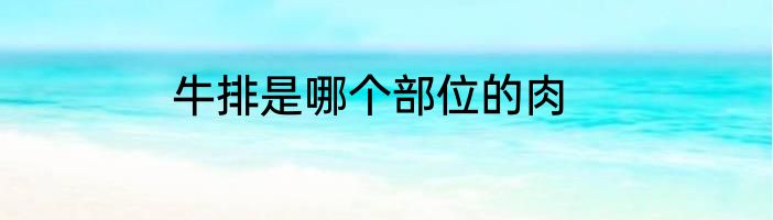 牛排是哪个部位的肉