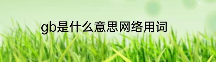 gb是什么意思网络用词