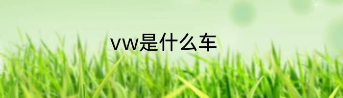 vw是什么车