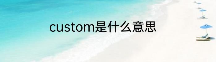 custom是什么意思