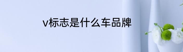 v标志是什么车品牌