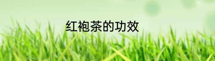红袍茶的功效