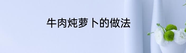 牛肉炖萝卜的做法