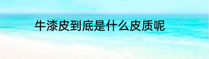 牛漆皮到底是什么皮质呢