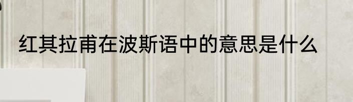 红其拉甫在波斯语中的意思是什么