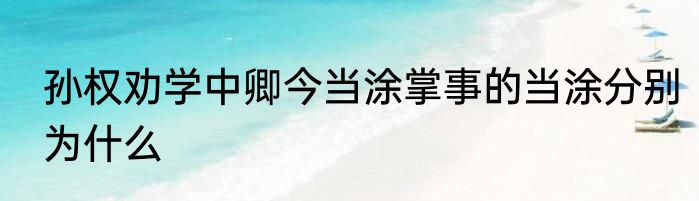 孙权劝学中卿今当涂掌事的当涂分别为什么