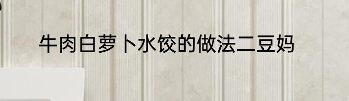 牛肉白萝卜水饺的做法二豆妈