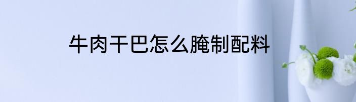 牛肉干巴怎么腌制配料