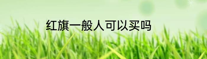 红旗一般人可以买吗