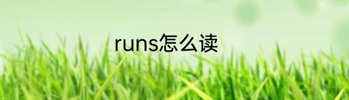 runs怎么读