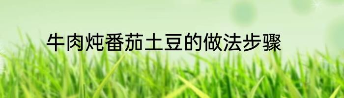 牛肉炖番茄土豆的做法步骤