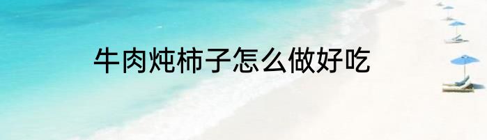 牛肉炖柿子怎么做好吃
