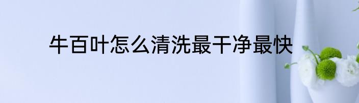 牛百叶怎么清洗最干净最快