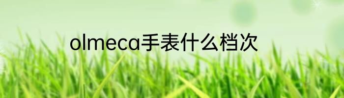 olmeca手表什么档次