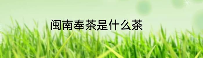 闽南奉茶是什么茶