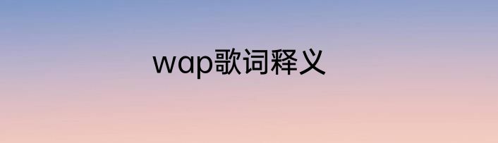 wap歌词释义