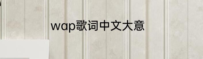 wap歌词中文大意