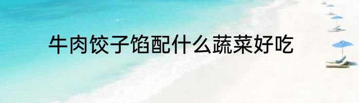 牛肉饺子馅配什么蔬菜好吃