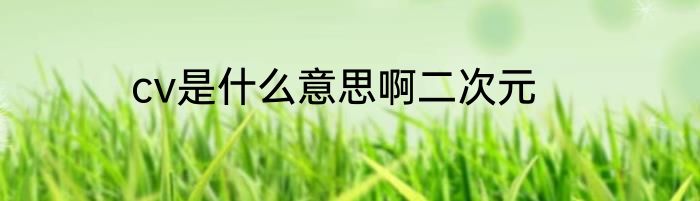 cv是什么意思啊二次元