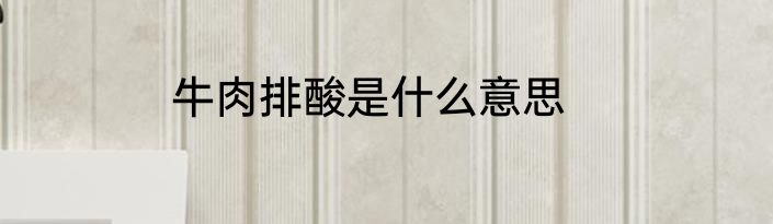 牛肉排酸是什么意思