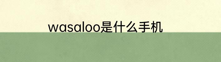 wasaloo是什么手机