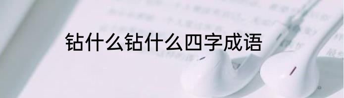 钻什么钻什么四字成语