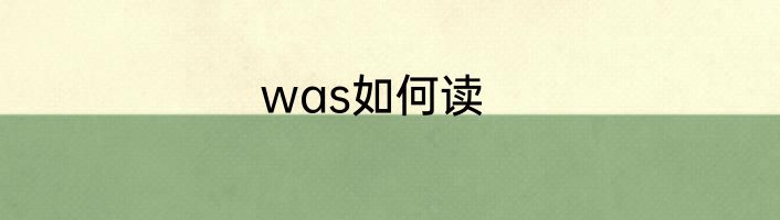 was如何读