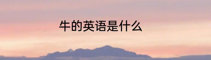 牛的英语是什么
