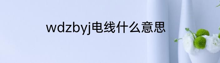 wdzbyj电线什么意思