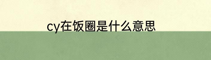 cy在饭圈是什么意思