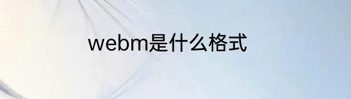 webm是什么格式