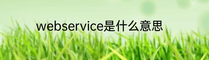webservice是什么意思