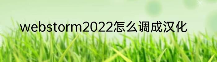 webstorm2022怎么调成汉化