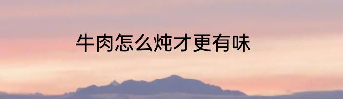 牛肉怎么炖才更有味