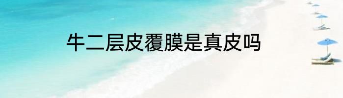 牛二层皮覆膜是真皮吗