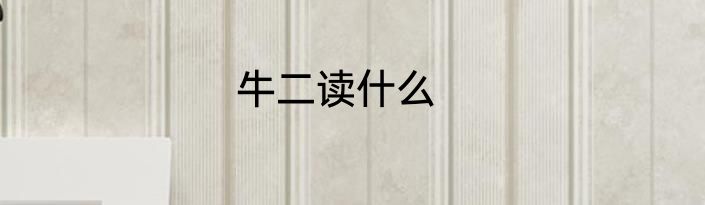 牛二读什么