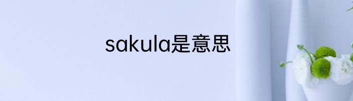 sakula是意思