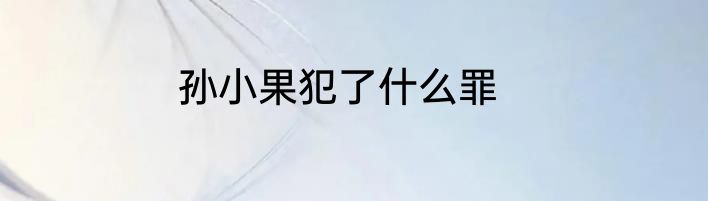 孙小果犯了什么罪