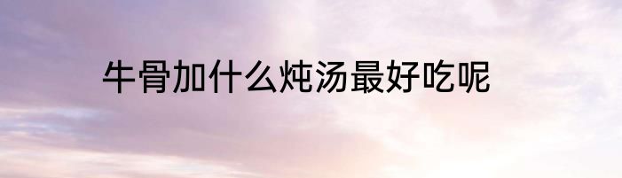 牛骨加什么炖汤最好吃呢