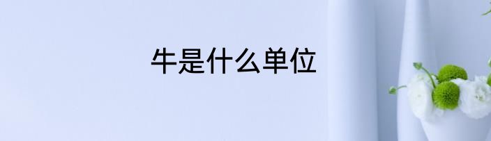 牛是什么单位