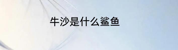 牛沙是什么鲨鱼