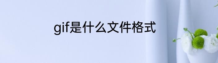 gif是什么文件格式
