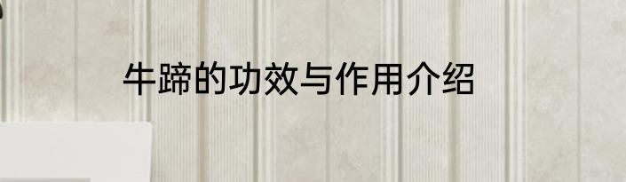 牛蹄的功效与作用介绍